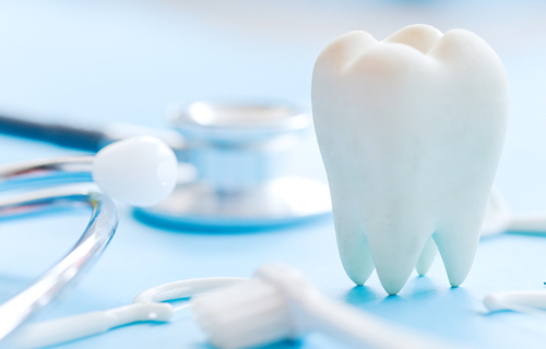 健康保険義歯と自費義歯の違い